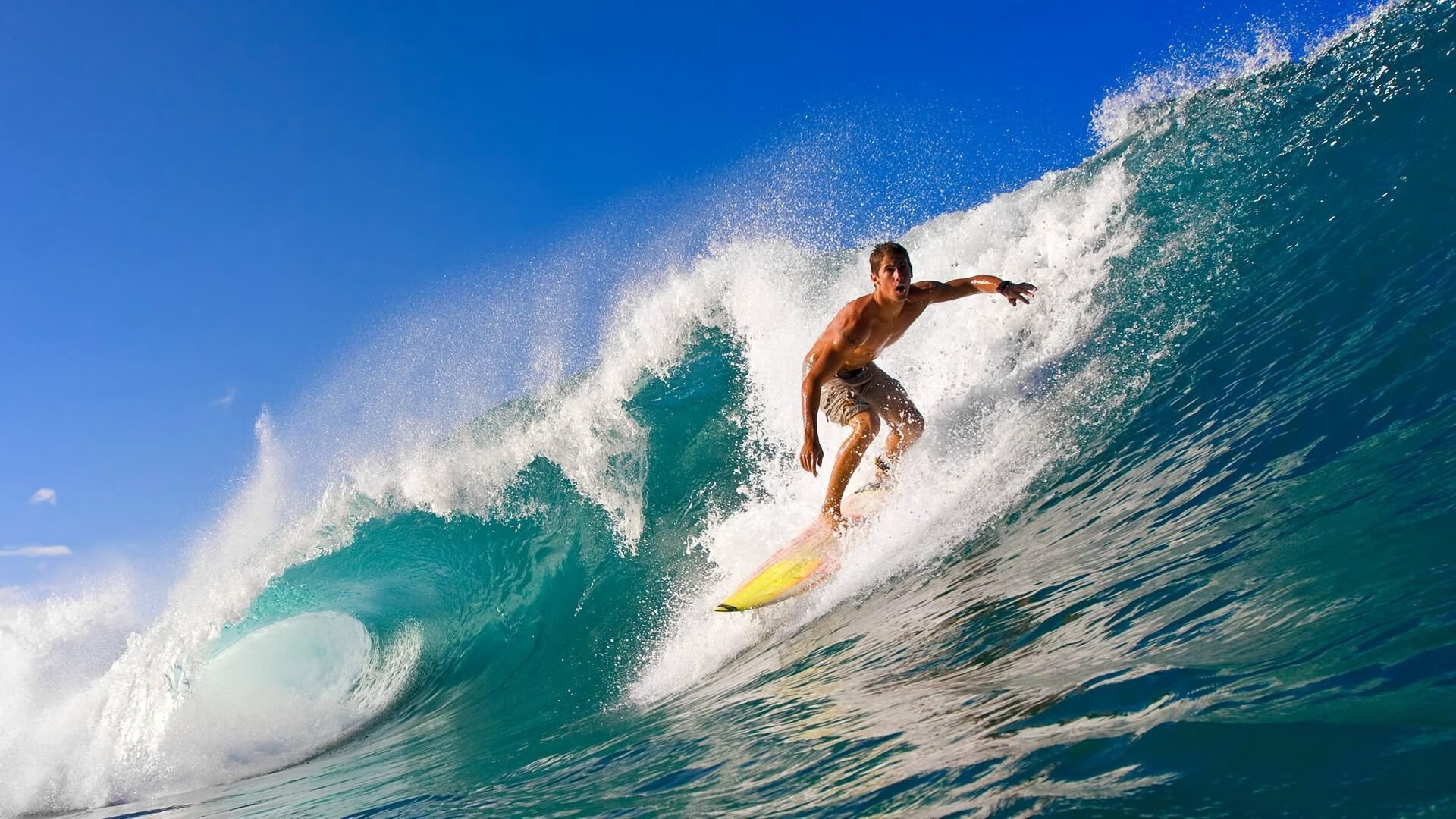 中国发布WTO特殊待遇政策立场全文，wto对中国的规定